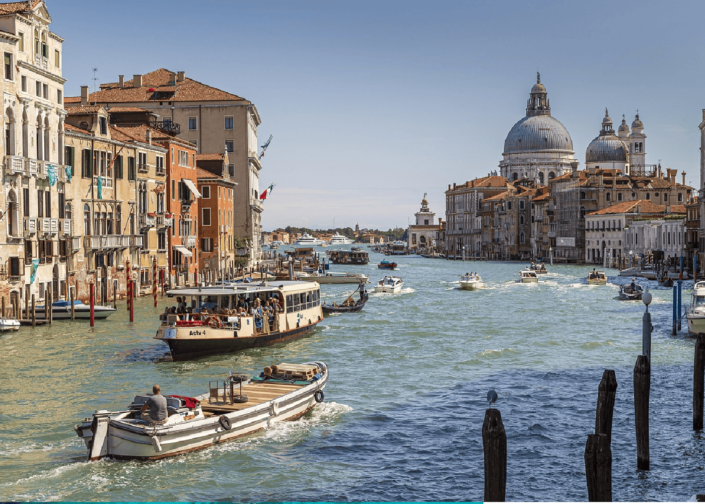 Venecia en primavera: Por qué visitar la Bienal en abril es la mejor decisión