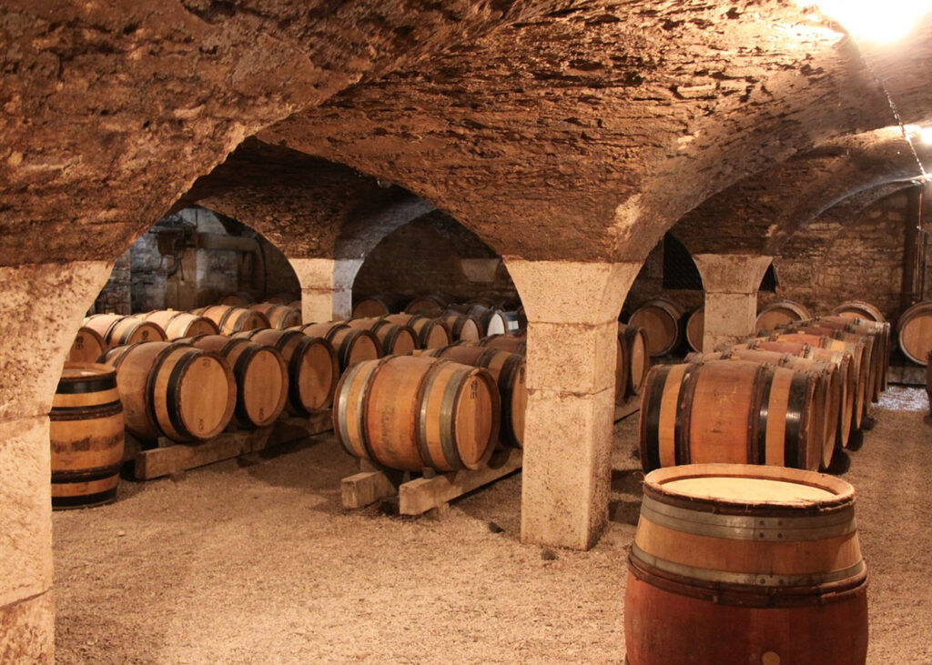 vino