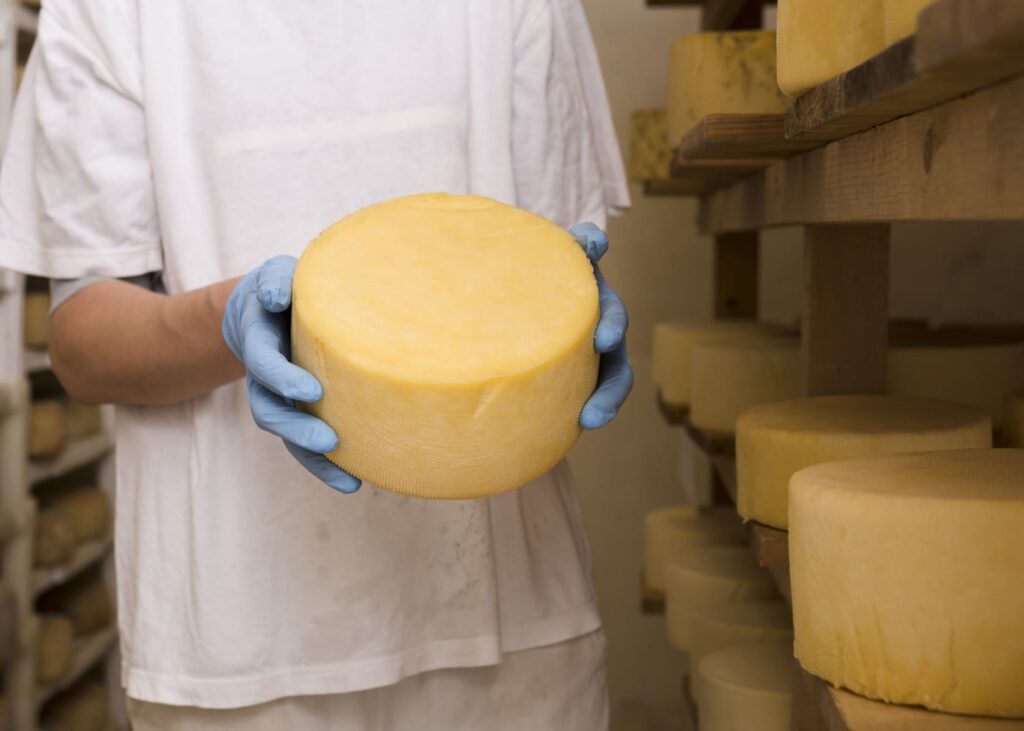 hombre-con-camiseta-blanca-que-sostiene-una-rueda-de-queso-en-sus-manos