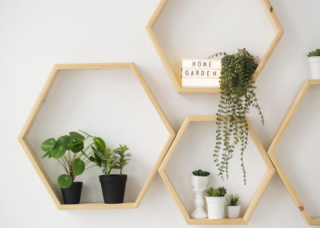 estantería-con-plantas-sobre-una-pared-blanca
