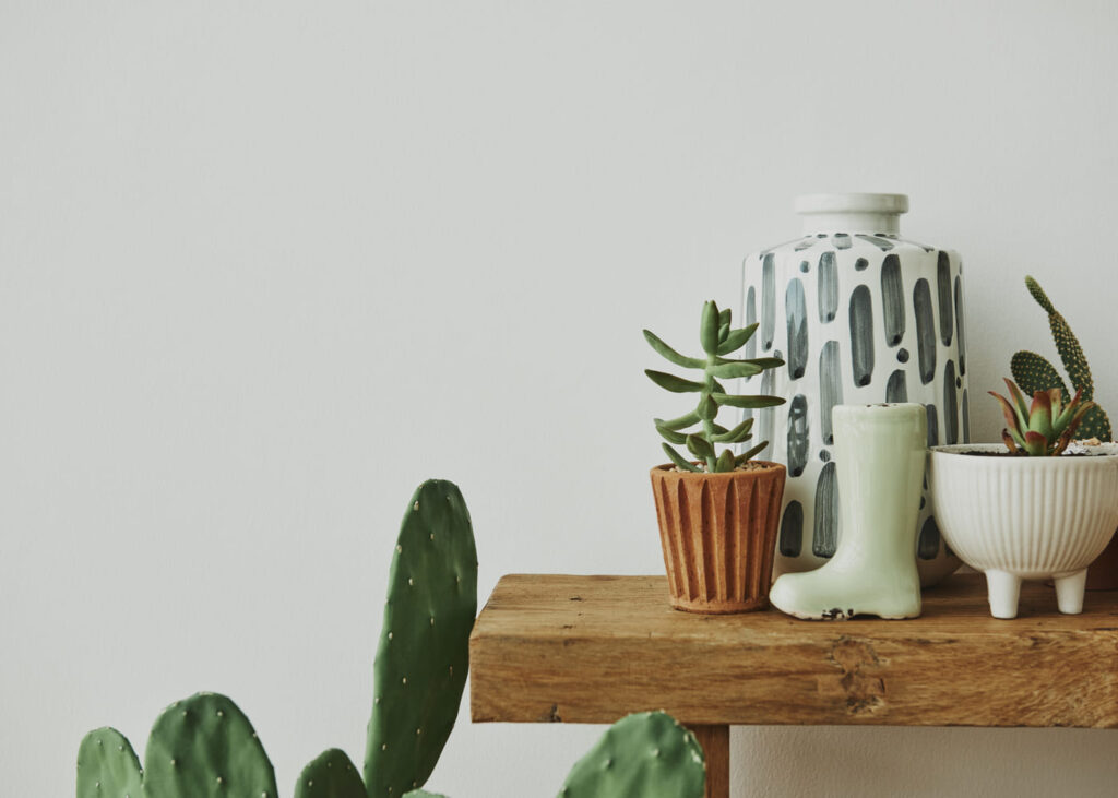 objetos-de-decoración-colocados-sobre-una-tabla-de-madera-y-cactus-al-lado