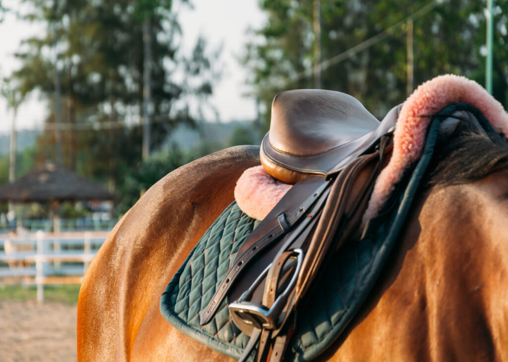 primer-plano-de-un-caballo-ensillado-con-un-sudadero-un-amortiguador-y-una-silla