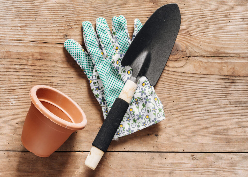 primer-plano-visto-desde-arriba-de-material-de-jardineria