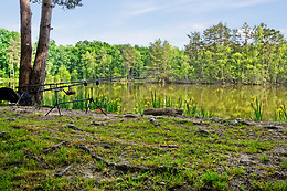 Etang des fontenils