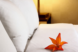 HOTEL PLAZA MANJÓN