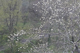 TerreRosse di Massadita