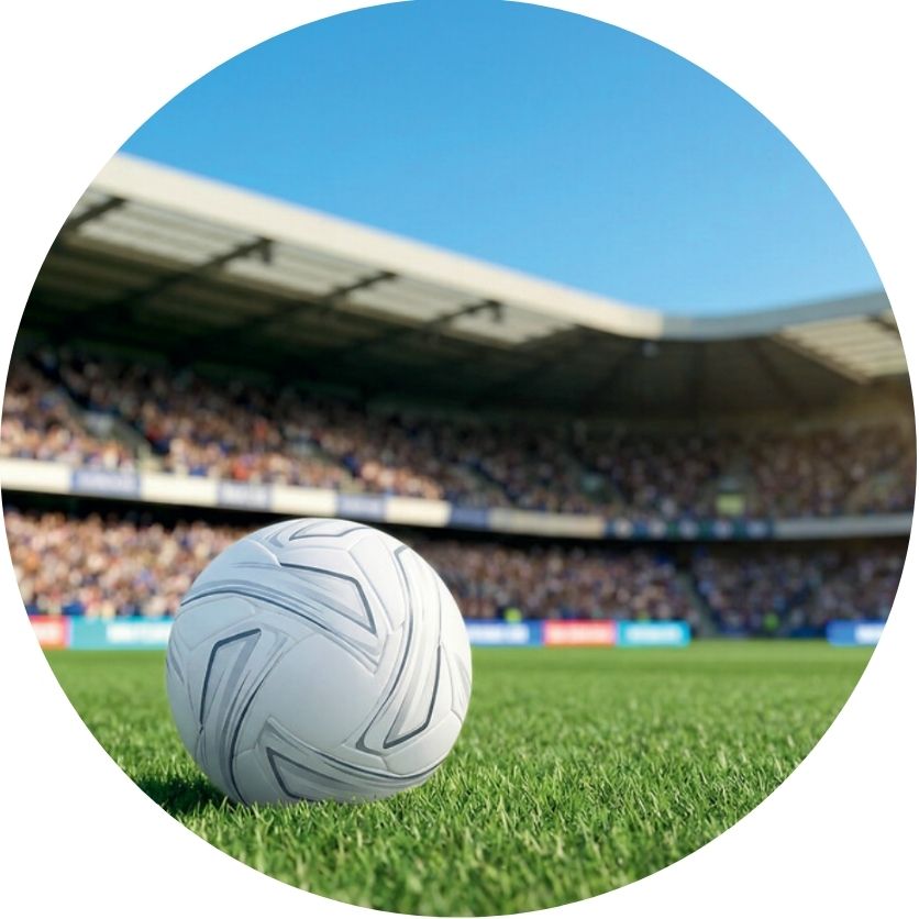Fútbol: partidos, museos,…