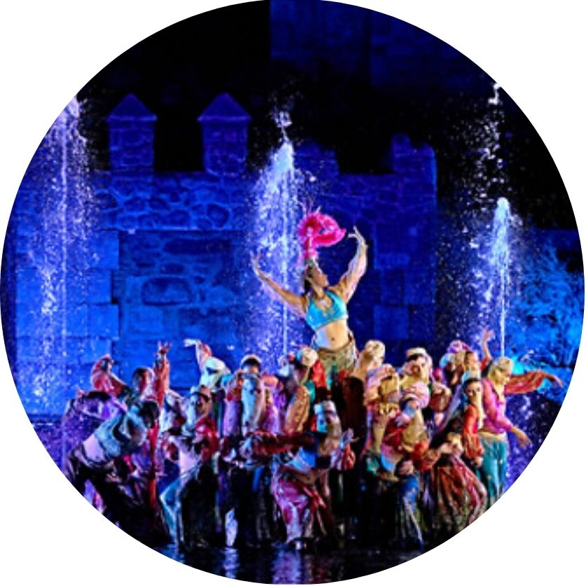 Entradas Puy du Fou