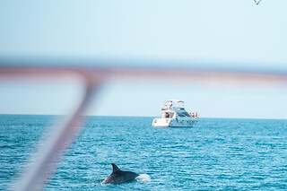 Un paseo en velero con avistamiento de delfines para 2 adultos y 2 niños en Fuengirola Sea Trips SL en Fuengirola (Málaga)
