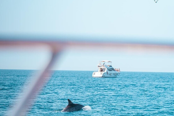 FUENGIROLA SEA TRIPS - photo 25