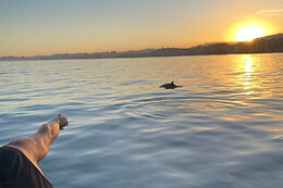 FUENGIROLA SEA TRIPS