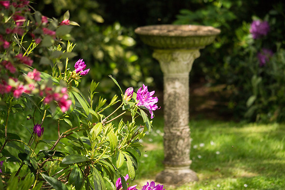 Arts in the Garden - photo 15