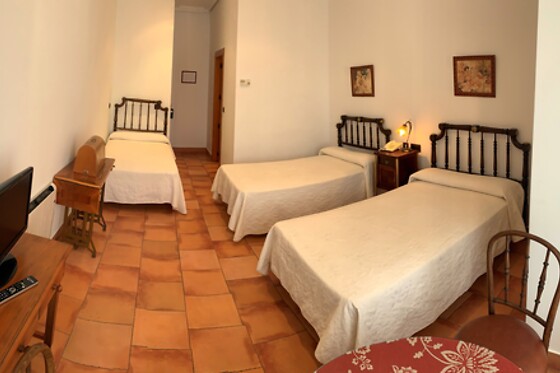 HOSPEDERIA BODAS DE CAMACHO Y LA CASA DE BASILIO EL POBRE - photo 35