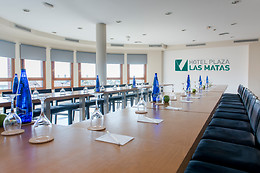 HOTEL PLAZA LAS MATAS
