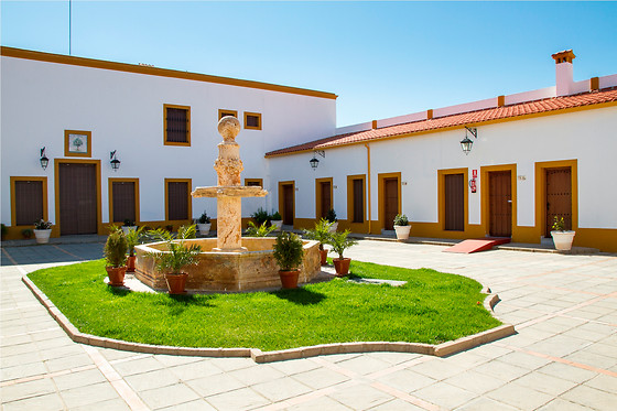 Una noche con experiencia enológica para 2 en Hotel Bodega El Moral **** en Ribera del Fresno (Badajoz)