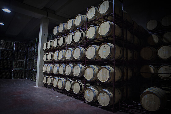 Bodegas Viyuela en Burgos
