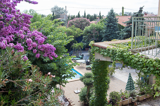La Salsepareille - photo 10