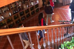 BODEGAS RUIZ TORRES