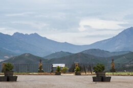BODEGAS RUIZ TORRES