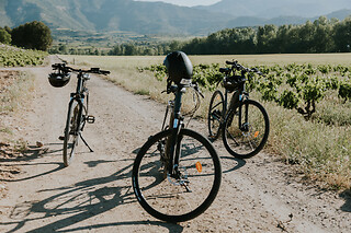 Un alquiler de E-bike para 2 en Grape Aventura en Haro (La Rioja)