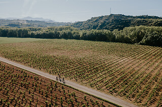 Una ruta en quad doble para 2 en Grape Aventura en Haro (La Rioja)