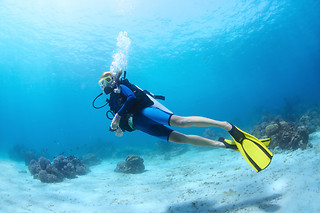 Una actividad de snorkel para 3 adultos y 1 niño en Marinadiving en Ametlla de Mar (Tarragona)