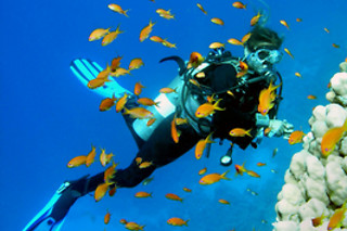 Una inmersión con equipo completo para 1 en Sotacero Diving en El Masnou (Barcelona)