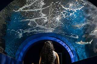 Entrada para el Acuario de Lanzarote