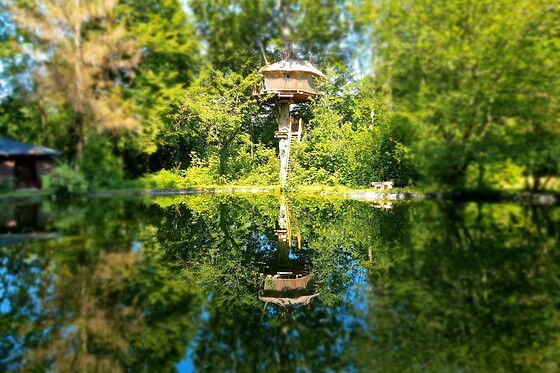 Domaine de Wail - photo 18