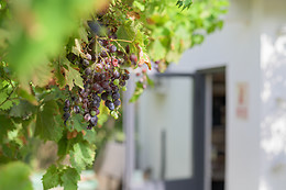 Clos Sorian