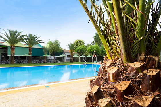 Una noche en cabaña para 4 en Camping Carlos III en La Carlota (Córdoba)