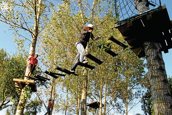 ANIGAMI AVENTURA - photo 8