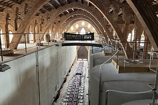 Una visita con cata para 2 en Adernats Vinícola de Nulles en Nulles (Tarragona)