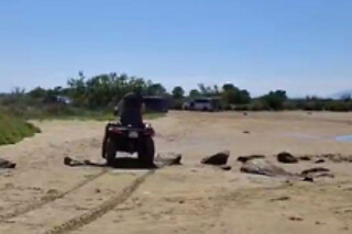 Una ruta en quad para 1 o 2 personas en Freedom Rent Empuriabrava en Empuriabrava (Girona)