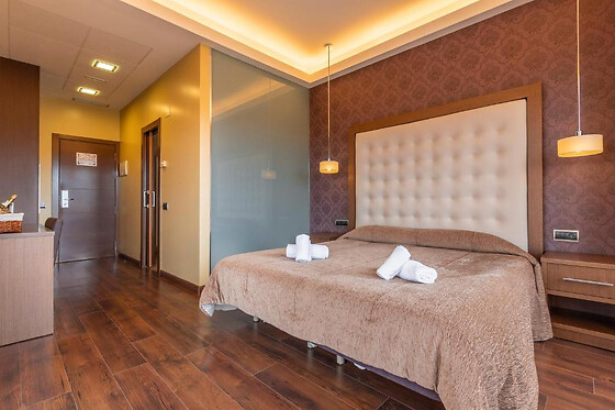 HOTEL FUENTE DEL MIRO - photo 6