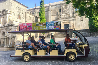 Oleoturismo Experience con cata de aceites para 4 en el Museo del Olivo en Baeza (Jaén)