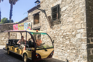 Oleoturismo Experience con cata de aceites para 4 en el Museo del Olivo en Baeza (Jaén)