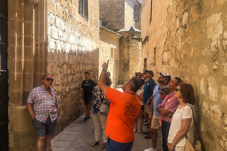 Oleoturismo Experience con cata de aceites para 4 en el Museo del Olivo en Baeza (Jaén)