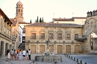 Oleoturismo Experience con cata de aceites para 4 en el Museo del Olivo en Baeza (Jaén)