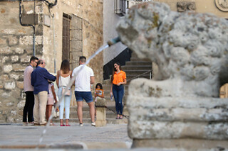 Oleoturismo Experience con cata de aceites para 4 en el Museo del Olivo en Baeza (Jaén)