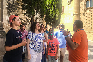 Oleoturismo Experience con cata de aceites para 4 en el Museo del Olivo en Baeza (Jaén)