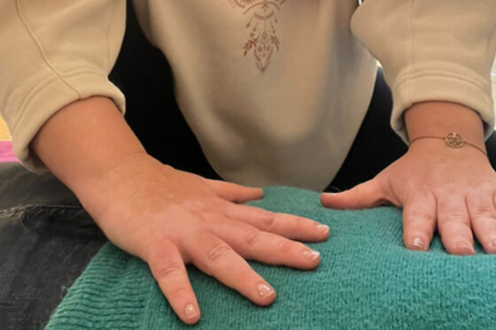 Instant Shiatsu - photo 4