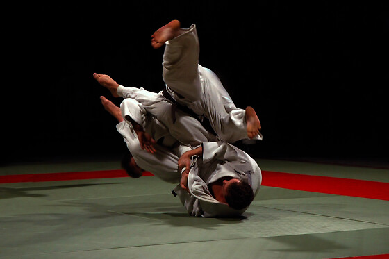 BOWGYM - photo 6