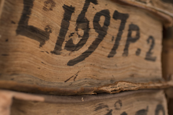 Il Cartastorie - photo 5