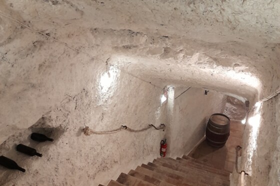 BODEGA 11 ANFORAS - photo 5
