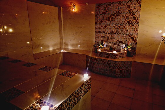 LEILA HAMMAM - photo 2