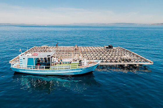 Un paseo en barco por la ría de Aldán ruta 