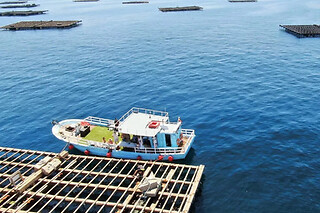 Un paseo en barco por la ría de Aldán ruta "Ruta del mejillón" para 2 en O Que Faltaba en Aldán - Cangas (Pontevedra)