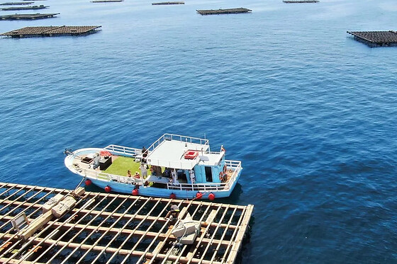 Un paseo en barco por la ría de Aldán ruta 