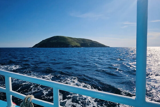 Un paseo en barco por la ría de Aldán ruta 